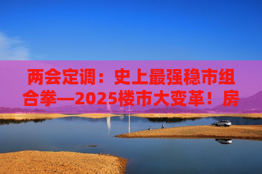 两会定调：史上最强稳市组合拳—2025楼市大变革！房企化债进入新阶段！