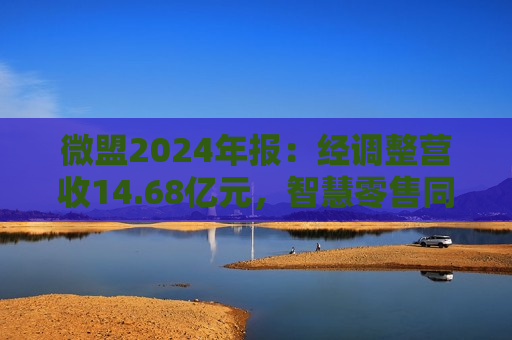 微盟2024年报：经调整营收14.68亿元，智慧零售同比内生增长5.2%  第1张