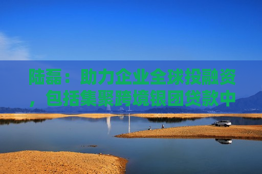 陆磊：助力企业全球投融资，包括集聚跨境银团贷款中心和业务试点