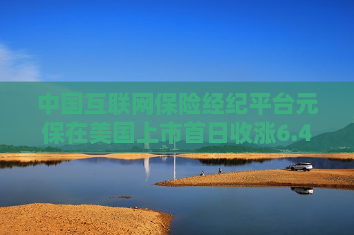 中国互联网保险经纪平台元保在美国上市首日收涨6.4%
