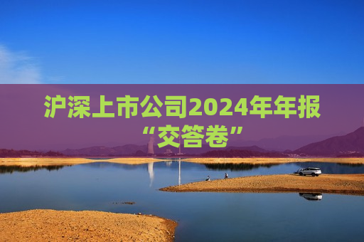 沪深上市公司2024年年报“交答卷”