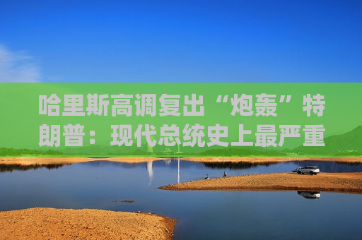 哈里斯高调复出“炮轰”特朗普：现代总统史上最严重的人为经济危机