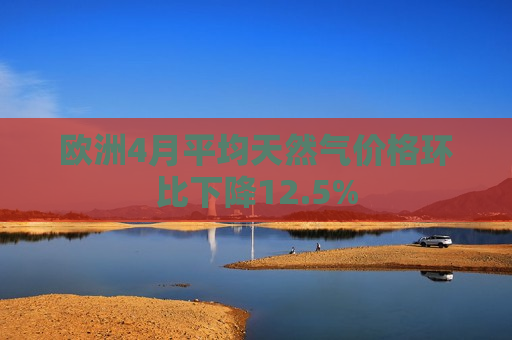 欧洲4月平均天然气价格环比下降12.5%