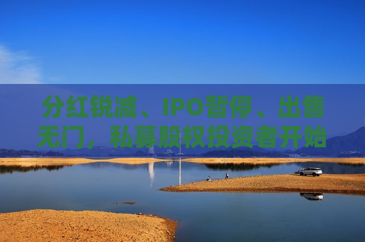分红锐减、IPO暂停、出售无门，私募股权投资者开始“抵押贷款”