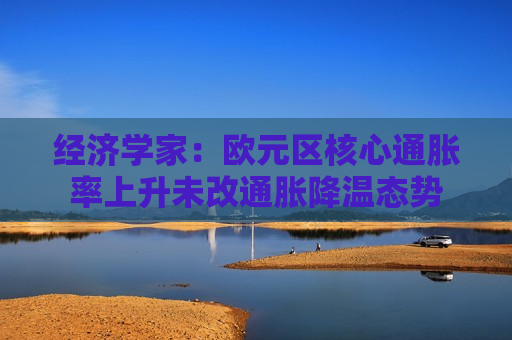 经济学家：欧元区核心通胀率上升未改通胀降温态势