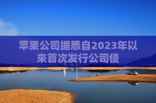 苹果公司据悉自2023年以来首次发行公司债