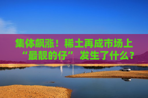 集体飙涨！稀土再成市场上“最靓的仔” 发生了什么？
