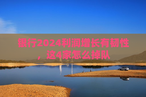 银行2024利润增长有韧性，这4家怎么掉队