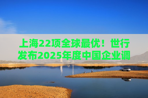 上海22项全球最优！世行发布2025年度中国企业调查报告