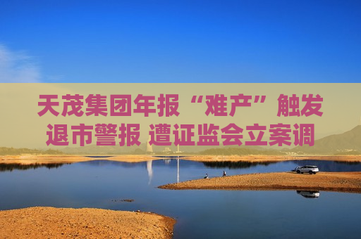 天茂集团年报“难产”触发退市警报 遭证监会立案调查 第1张 天茂集团年报“难产”触发退市警报 遭证监会立案调查 第1张