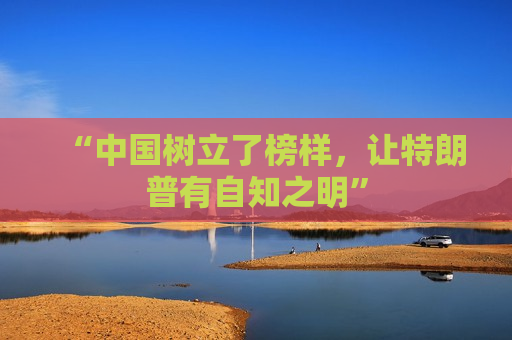 “中国树立了榜样，让特朗普有自知之明”