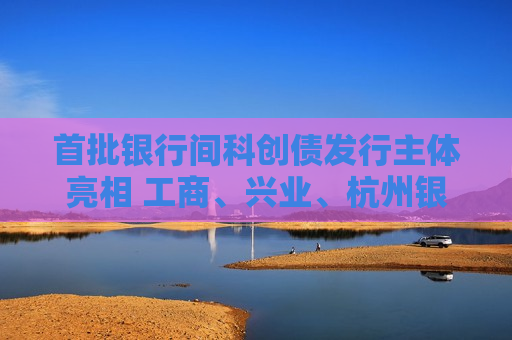 首批银行间科创债发行主体亮相 工商、兴业、杭州银行合计250亿