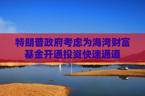 特朗普政府考虑为海湾财富基金开通投资快速通道