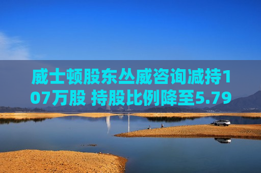 威士顿股东丛威咨询减持107万股 持股比例降至5.79%