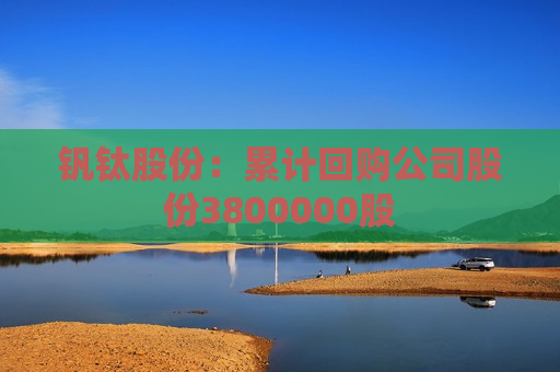 钒钛股份：累计回购公司股份3800000股