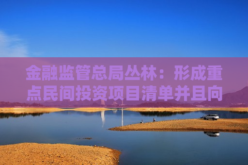 金融监管总局丛林：形成重点民间投资项目清单并且向银行推送 指导银行自主对接融资服务