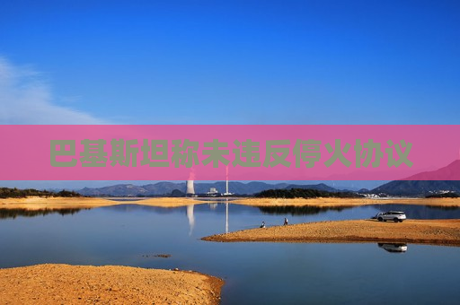 巴基斯坦称未违反停火协议