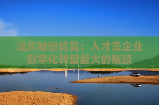 远东股份陈昊：人才是企业数字化转型最大的瓶颈