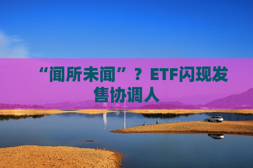 “闻所未闻”？ETF闪现发售协调人