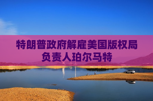 特朗普政府解雇美国版权局负责人珀尔马特 第1张 特朗普政府解雇美国版权局负责人珀尔马特 第1张