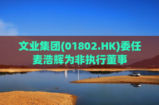 文业集团(01802.HK)委任麦浩辉为非执行董事 第1张 文业集团(01802.HK)委任麦浩辉为非执行董事 第1张