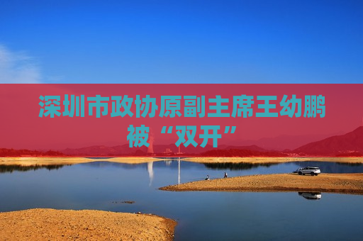 深圳市政协原副主席王幼鹏被“双开”