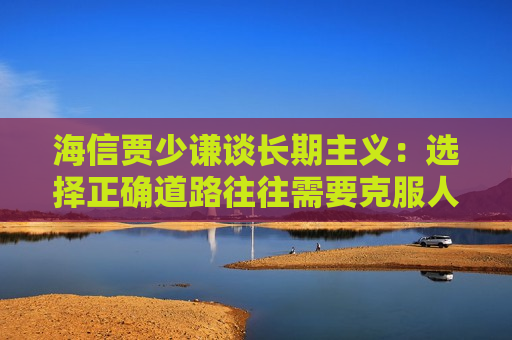 海信贾少谦谈长期主义：选择正确道路往往需要克服人性弱点，承受短期阵痛