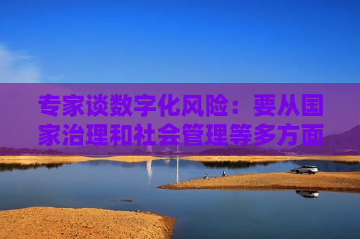 专家谈数字化风险：要从国家治理和社会管理等多方面采取措施