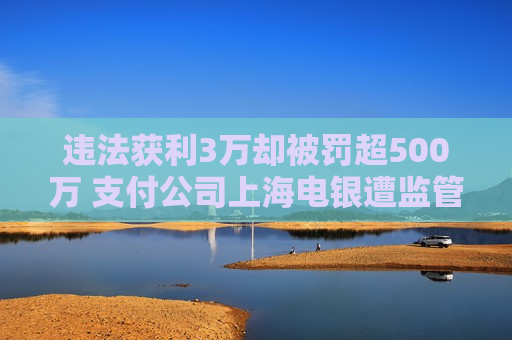 违法获利3万却被罚超500万 支付公司上海电银遭监管重罚