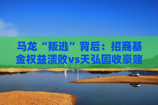 马龙“叛逃”背后：招商基金权益溃败vs天弘固收豪赌，公募“明星神话”崩塌进行时