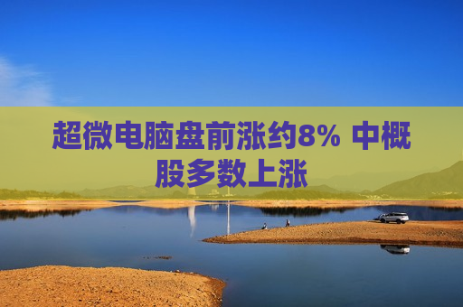 超微电脑盘前涨约8% 中概股多数上涨
