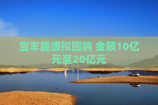 宝丰能源拟回购 金额10亿元至20亿元 第1张 宝丰能源拟回购 金额10亿元至20亿元 第1张