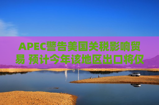 APEC警告美国关税影响贸易 预计今年该地区出口将仅增长0.4%