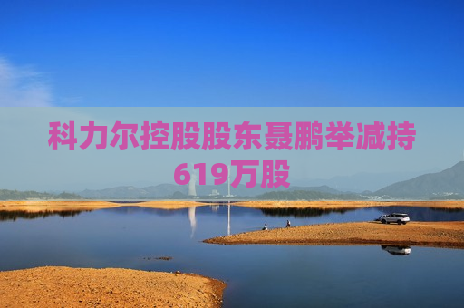 科力尔控股股东聂鹏举减持619万股 第1张 科力尔控股股东聂鹏举减持619万股 第1张