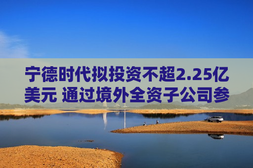 宁德时代拟投资不超2.25亿美元 通过境外全资子公司参与碳中和基金  第1张