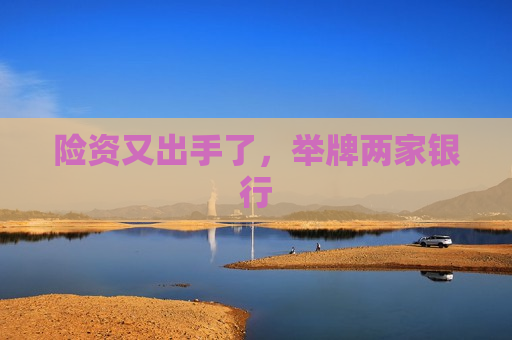 险资又出手了，举牌两家银行