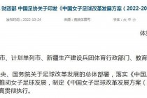 足球发展文件(足球发展规划2020)