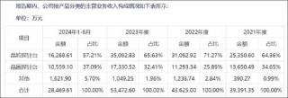 矽电股份1.6亿资金补流存疑？资产负债率不高 业绩暴涨背后大客户关联方突击入股