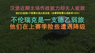 汉堡vs法(汉堡vs法兰克福分析)