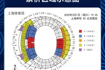 申花vs国安260票面的简单介绍
