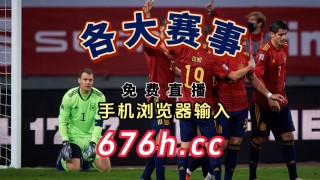 意大利vs荷兰回放(意大利vs荷兰哪个队胜)