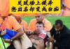 足球场上的救人(足球场抢救活下来的球员)