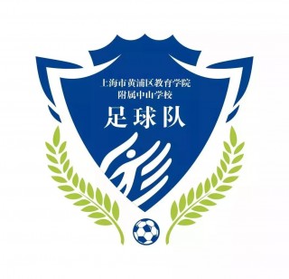 校园足球标志设计(校园足球标志设计 logo)