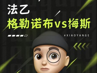 梅斯vs格勒诺(梅斯VS格勒诺布比分)