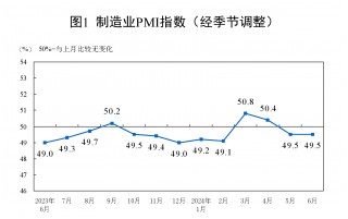 国家统计局：6月制造业PMI为49.5%，与上月持平