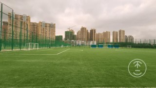 成都t98足球公园(成都t98足球公园收费)