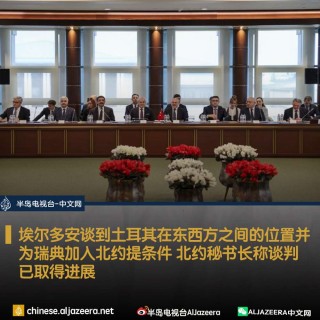 土耳其vs瑞典专家(土耳其vs瑞士比赛场地)
