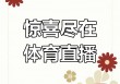 足球直播录播(足球直播录播在线观看)
