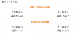 沙特ETF，并非简单的石油ETF：占比最大的是金融业，比例超过41%