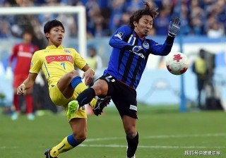 熊本深红vs福冈黄蜂(熊本深红vs岩手盛冈仙鹤)